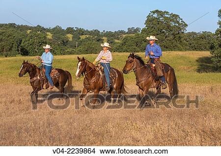 Picture - Three wranglers (Cowboys) on horse, California, USA. Fotosearch