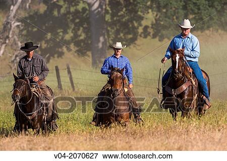 Three wranglers (cowboys) on horse, California, USA View Large Photo Image Stock Photo - Three wranglers (cowboys) on horse, California, USA. Fotosearch