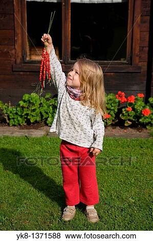Stock Photo - Three Years Old Girl Holding Strawberries on Grass Straw. Fotosearch