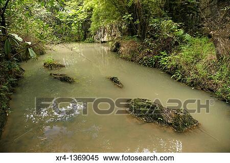Stock Photography - Tianxing Bridge Scenic Area, Huangguoshu, Guizhou, China. Fotosearch