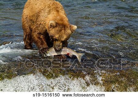 Time for Dinner View Large Photo Image Stock Image - Time for Dinner. Fotosearch