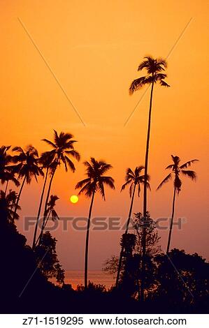 Stock Photography - Tioman island at sunset, Malaysia. Fotosearch