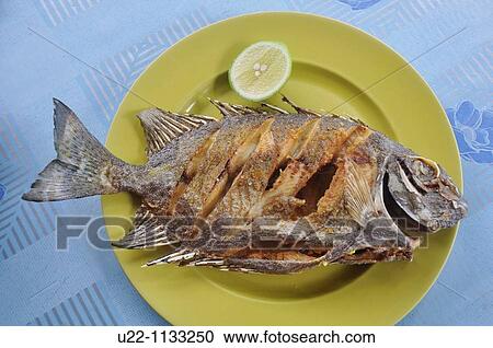 Tioman (Malaysia): fried fish View Large Photo Image Stock Image - Tioman (Malaysia): fried fish. Fotosearch