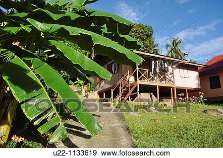 Tioman (Malaysia): native wooden house in the jungle at Salang Beach View Large Photo Image Stock Photo - Tioman (Malaysia): native wooden house in the jungle at Salang Beach. Fotosearch
