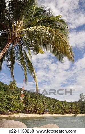 Tioman (Malaysia): Salang Beach View Large Photo Image Stock Photo - Tioman (Malaysia): Salang Beach. Fotosearch