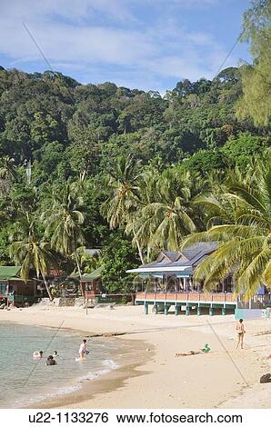 Tioman (Malaysia): Salang Beach View Large Photo Image Stock Photograph - Tioman (Malaysia): Salang Beach. Fotosearch