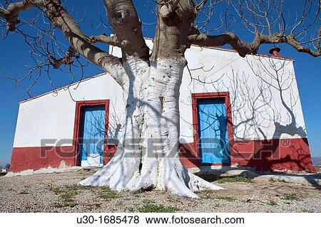 Tipic house Delta del Ebro Natural Park, in Tarragona province Catalonia Spain View Large Photo Image Stock Photo - Tipic house Delta del Ebro Natural Park, in Tarragona province Catalonia Spain. Fotosearch