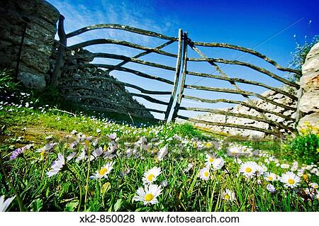 Tipica puerta menorquina en un camino de flores, Mah? n, Islas Baleares, Espaa View Large Photo Image Stock Photo - Tipica puerta menorquina en un camino de flores, Mah? n, Islas Baleares, Espaa. Fotosearch
