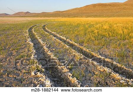 Tire tracks in dry lakebed, Alvord Desert Oregon View Large Photo Image Picture - Tire tracks in dry lakebed, Alvord Desert Oregon. Fotosearch