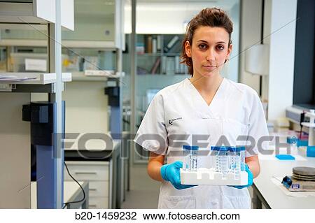 Tissue engineering lab, Oncology and Regenerative Medicine Research, Biodonostia Health and Biomedicine Research Institute, San Sebastian, Donostia, Gipuzkoa, Euskadi, Spain View Large Photo Image Stock Image - Tissue engineering lab, Oncology and Regenerative Medicine Research, Biodonostia Health and Biomedicine Research Institute, San Sebastian, Donostia, Gipuzkoa, Euskadi, Spain. Fotosearch