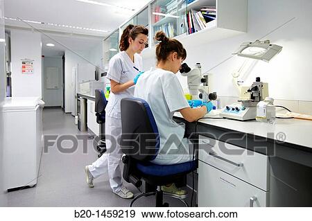 Tissue engineering lab, Oncology and Regenerative Medicine Research, Biodonostia Health and Biomedicine Research Institute, San Sebastian, Donostia, Gipuzkoa, Euskadi, Spain View Large Photo Image Stock Photo - Tissue engineering lab, Oncology and Regenerative Medicine Research, Biodonostia Health and Biomedicine Research Institute, San Sebastian, Donostia, Gipuzkoa, Euskadi, Spain. Fotosearch