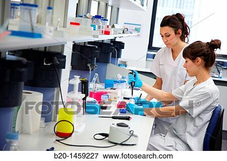 Stock Photo - Tissue engineering lab, Oncology and Regenerative Medicine Research, Biodonostia Health and Biomedicine Research Institute, San Sebastian, Donostia, Gipuzkoa, Euskadi, Spain. Fotosearch
