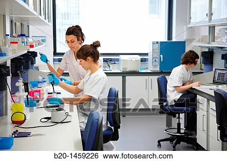 Tissue engineering lab, Oncology and Regenerative Medicine Research, Biodonostia Health and Biomedicine Research Institute, San Sebastian, Donostia, Gipuzkoa, Euskadi, Spain View Large Photo Image Stock Photograph - Tissue engineering lab, Oncology and Regenerative Medicine Research, Biodonostia Health and Biomedicine Research Institute, San Sebastian, Donostia, Gipuzkoa, Euskadi, Spain. Fotosearch
