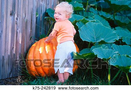 toddler and big pumpkin View Large Photo Image Stock Photo - toddler and big pumpkin. Fotosearch