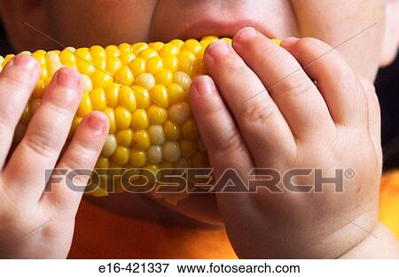 Toddler eating corn on the cob View Large Photo Image Stock Photo - Toddler eating corn on the cob. Fotosearch