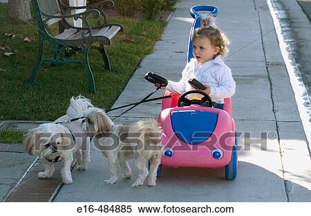 Stock Photography - Toddler in toy car holding dogs leash. Fotosearch