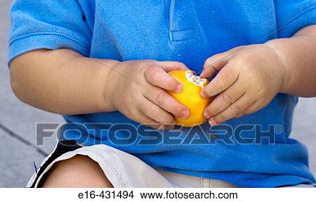 Toddler peeling tangerine View Large Photo Image Picture - Toddler peeling tangerine. Fotosearch