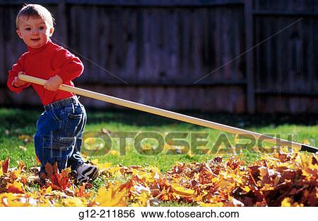 Toddler raking leaves View Large Photo Image Stock Photograph - Toddler raking leaves. Fotosearch