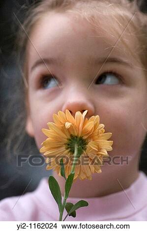 Toddler smelling flower View Large Photo Image Picture - Toddler smelling flower. Fotosearch
