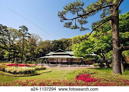 Tokyo City-The Impeial Gardens-The Tea House. View Large Photo Image Picture - Tokyo City-The Impeial Gardens-The Tea House.. Fotosearch