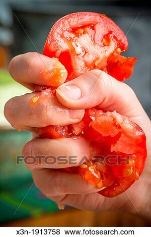Tomato crushed in fingers View Large Photo Image Stock Photo - Tomato crushed in fingers. Fotosearch