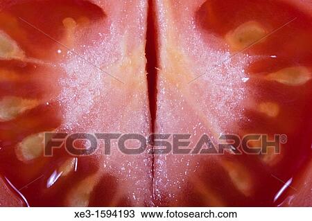 Tomato heart View Large Photo Image Stock Image - Tomato heart. Fotosearch