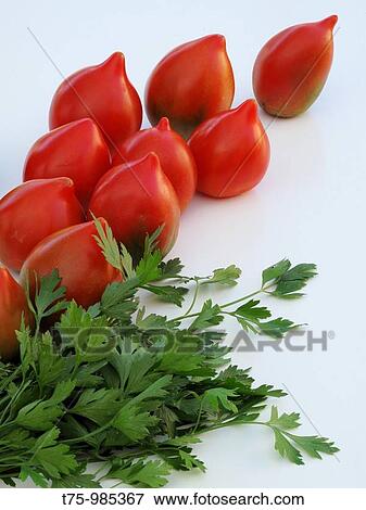 Tomatoes and parsley View Large Photo Image Stock Photo - Tomatoes and parsley. Fotosearch