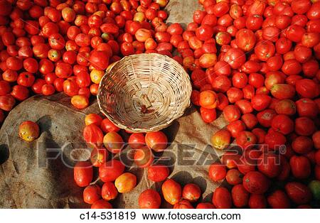 Stock Photo - Tomatoes at Kalaw market, Burma. Fotosearch