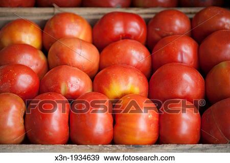 Tomatoes at Lo Valledor central wholesale produce market in Santiago, Chile View Large Photo Image Stock Photo - Tomatoes at Lo Valledor central wholesale produce market in Santiago, Chile. Fotosearch