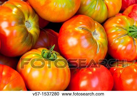 Stock Image - Tomatoes. Close view.. Fotosearch