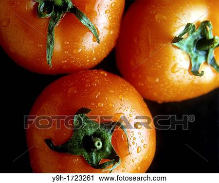 Tomatoes from a supermarket View Large Photo Image Stock Image - Tomatoes from a supermarket. Fotosearch