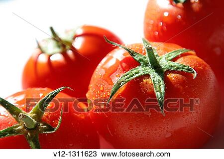 Tomatoes fruit View Large Photo Image Stock Image - Tomatoes fruit. Fotosearch