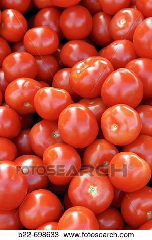 Tomatoes. Helsinki, Finland View Large Photo Image Stock Image - Tomatoes. Helsinki, Finland. Fotosearch