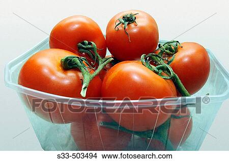 Tomatoes in a plastic box. View Large Photo Image Picture - Tomatoes in a plastic box.. Fotosearch