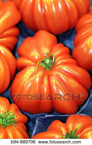 Tomatoes in La Boqueria market, Barcelona. Catalonia, Spain View Large Photo Image Stock Photograph - Tomatoes in La Boqueria market, Barcelona. Catalonia, Spain. Fotosearch