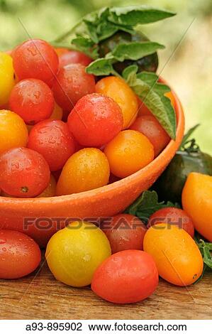 Tomatoes? mini? View Large Photo Image Stock Image - Tomatoes? mini?. Fotosearch