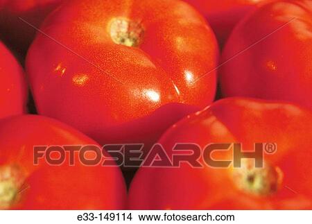 Tomatoes View Large Photo Image Picture - Tomatoes. Fotosearch