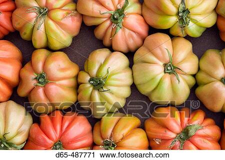 Tomatoes. Positano. Amalfi Coast. Campania. Italy. View Large Photo Image Stock Image - Tomatoes. Positano. Amalfi Coast. Campania. Italy.. Fotosearch