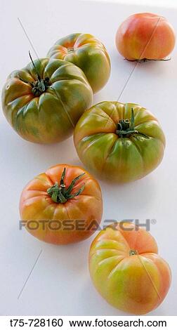 Tomatoes? Raf? View Large Photo Image Stock Image - Tomatoes? Raf?. Fotosearch