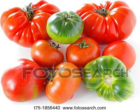 Stock Image - Tomatoes. Fotosearch