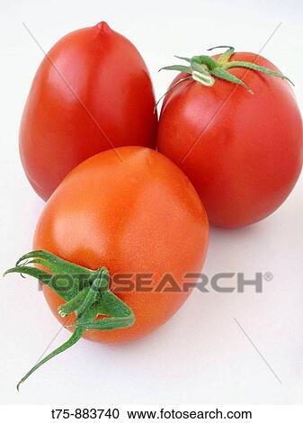 Stock Image - Tomatoes. Fotosearch