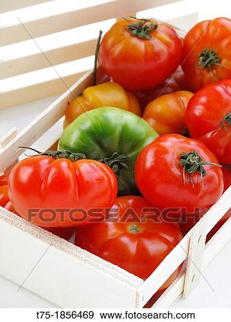 Tomatoes, View Large Photo Image Stock Photo - Tomatoes,. Fotosearch