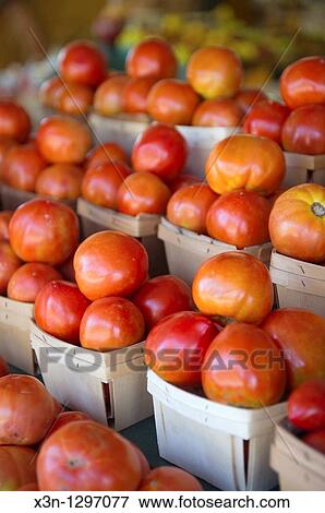Tomatoes View Large Photo Image Stock Photo - Tomatoes. Fotosearch