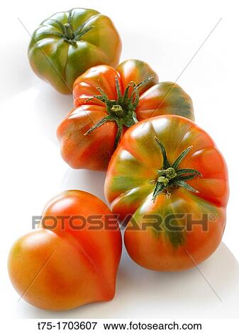 Tomatoes with heart View Large Photo Image Stock Photo - Tomatoes with heart. Fotosearch