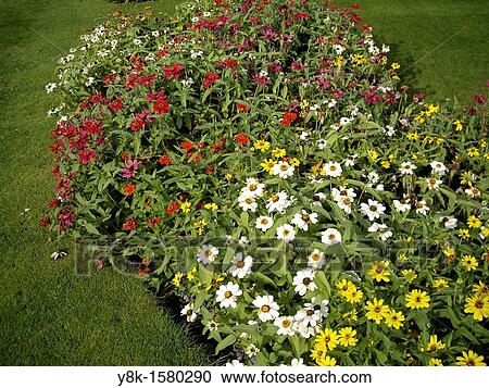 Tong shaped flowerbed View Large Photo Image Stock Image - Tong shaped flowerbed. Fotosearch