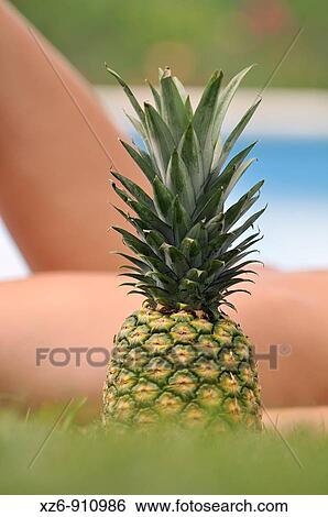 Top of a pineapple. Woman stretched out of focus behind View Large Photo Image Stock Photograph - Top of a pineapple. Woman stretched out of focus behind. Fotosearch
