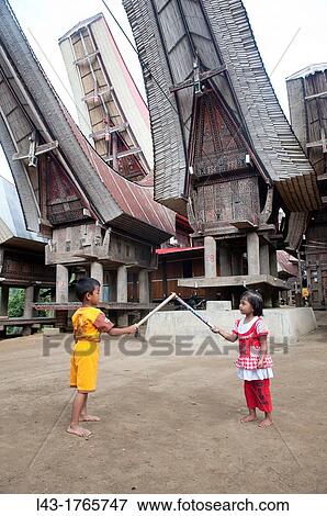 Toraja traditional house in tana toraja, sulawesi, indonesia View Large Photo Image Stock Photo - Toraja traditional house in tana toraja, sulawesi, indonesia. Fotosearch