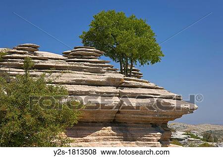 Torcal de Antequera Natural Park, Antequera, Malaga-province, Spain View Large Photo Image Stock Photo - Torcal de Antequera Natural Park, Antequera, Malaga-province, Spain. Fotosearch