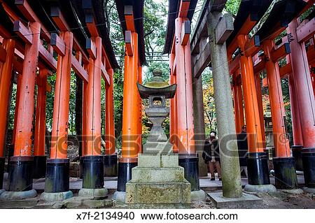 Torii gates at Fushimi Inari-Taisha sanctuary, Kyoto, Japan. View Large Photo Image Stock Image - Torii gates at Fushimi Inari-Taisha sanctuary, Kyoto, Japan.. Fotosearch