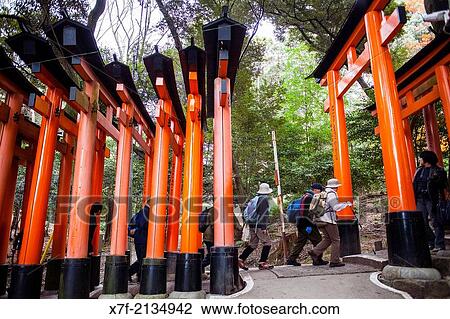 Torii gates at Fushimi Inari-Taisha sanctuary, Kyoto, Japan. View Large Photo Image Stock Image - Torii gates at Fushimi Inari-Taisha sanctuary, Kyoto, Japan.. Fotosearch